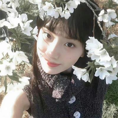 银魂国语 海报